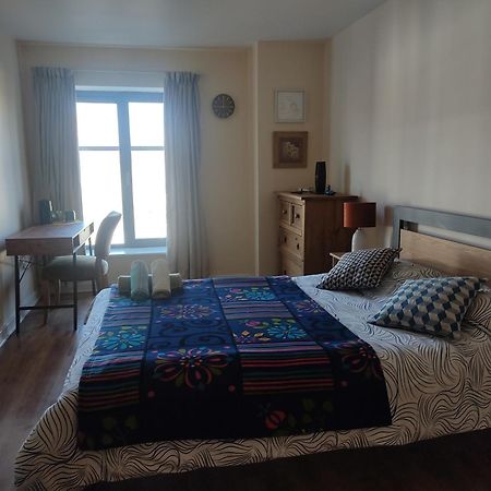 Swallows Nest - Spacious Bright Double Bedroom With Ensuite Bathroom Dublin Eksteriør bilde