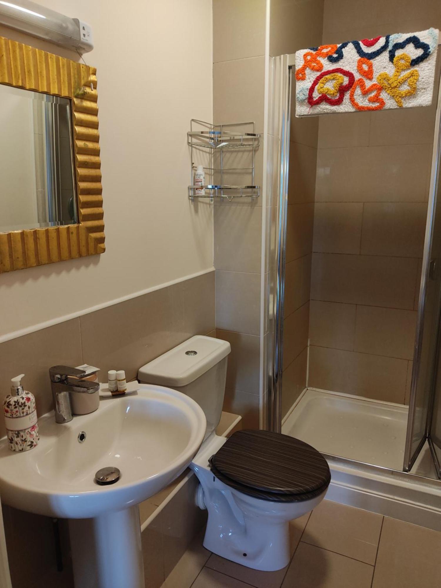 Swallows Nest - Spacious Bright Double Bedroom With Ensuite Bathroom Dublin Eksteriør bilde